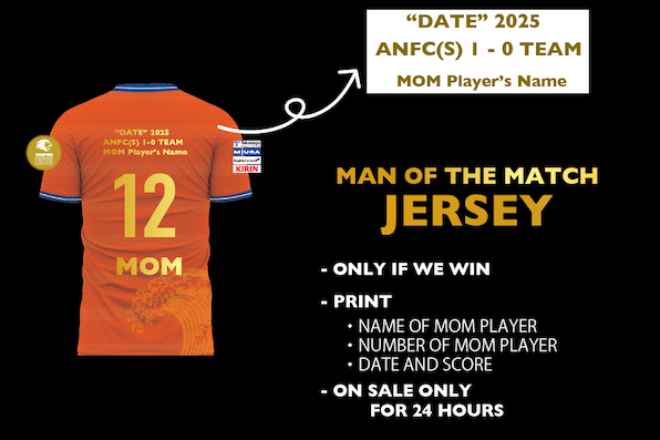 アルビレックス新潟 2012 フルスポンサーゲームシャツ ユニフォーム Mサイズ アルビレックス新潟 2012 フルスポンサーゲームシャツ